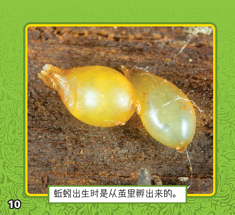 Image 04