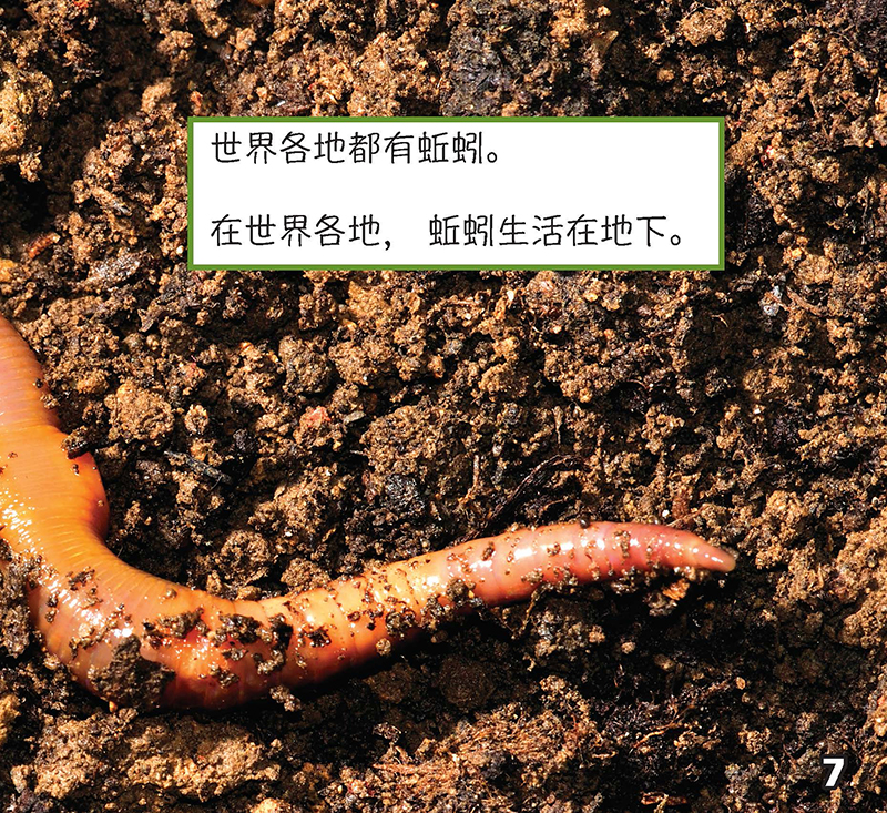 Image 04