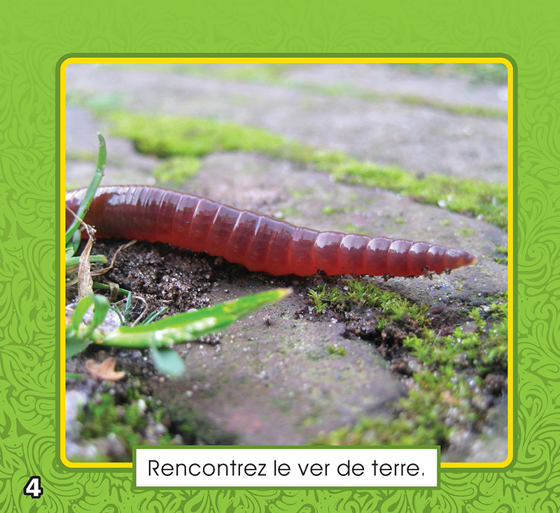 Image 01
