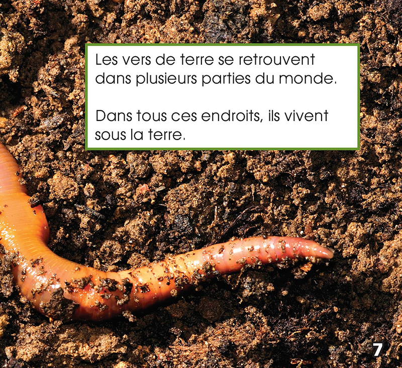 Image 04