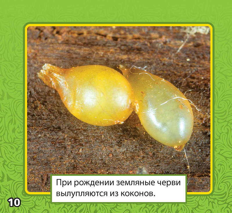 Image 04