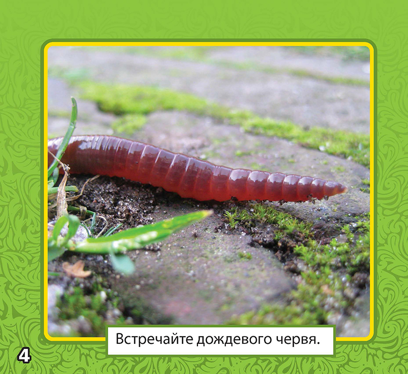 Image 01