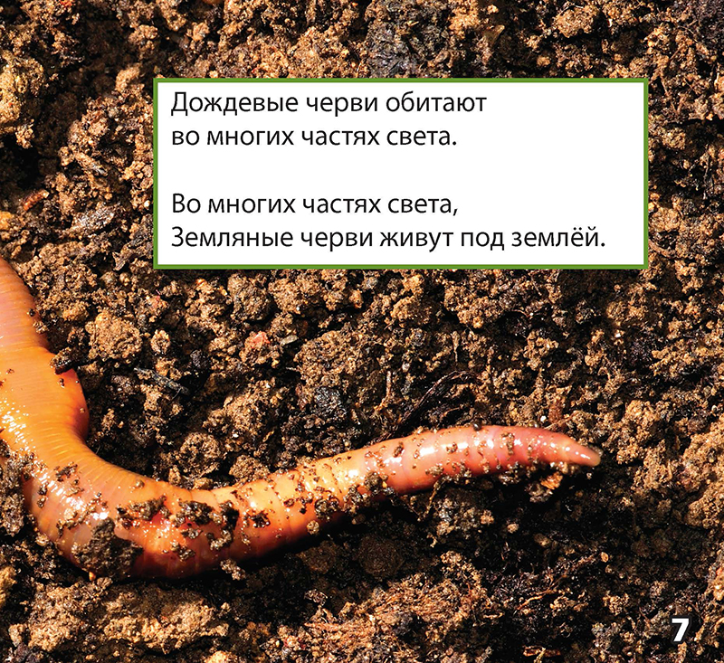 Image 04