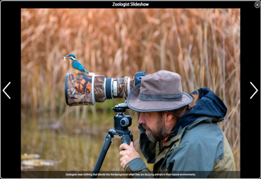 Slideshow Thumbnail