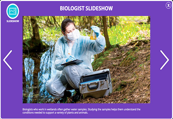 Slideshow Thumbnail