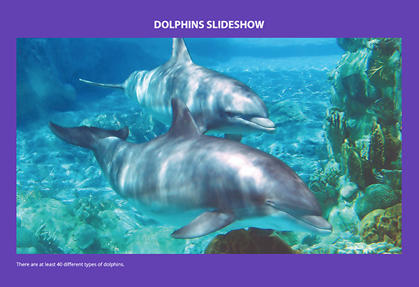 Slideshow Thumbnail