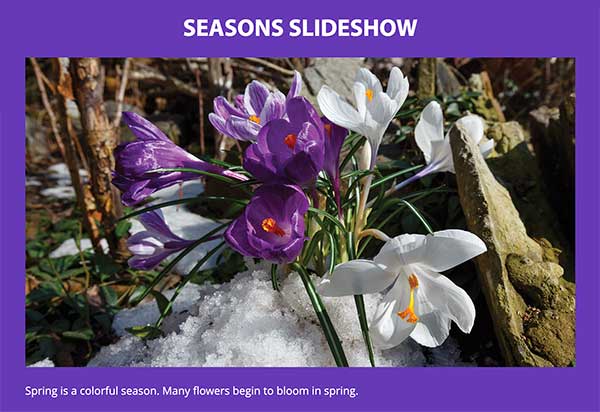 Slideshow Thumbnail