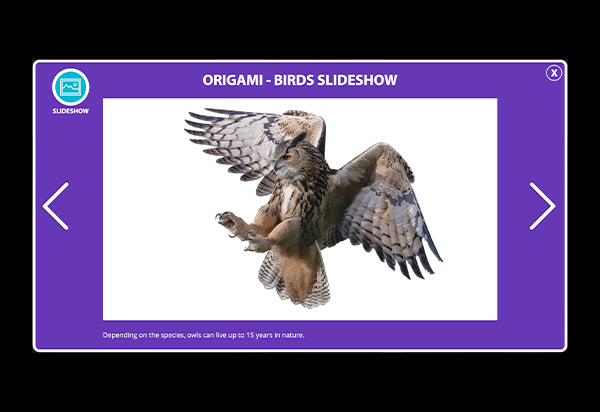 Slideshow Thumbnail