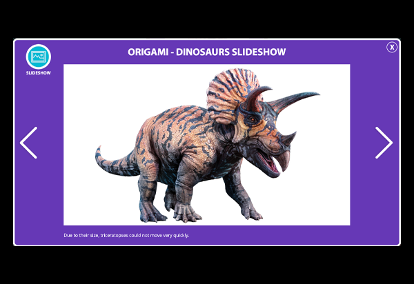 Slideshow Thumbnail