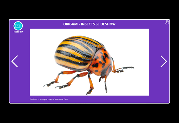 Slideshow Thumbnail