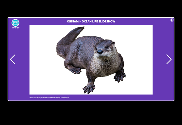 Slideshow Thumbnail