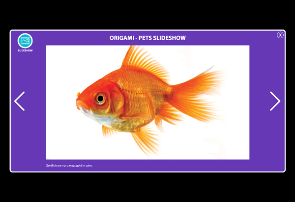 Slideshow Thumbnail