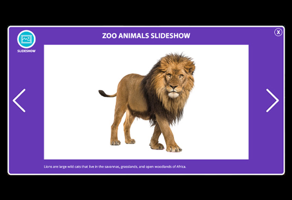 Slideshow Thumbnail