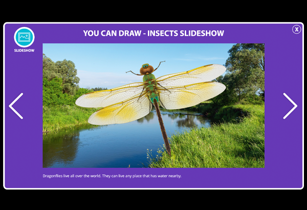 Slideshow Thumbnail