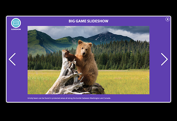 Slideshow Thumbnail