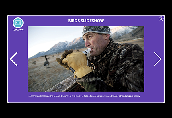 Slideshow Thumbnail