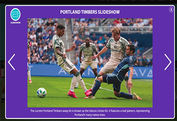 Slideshow Thumbnail